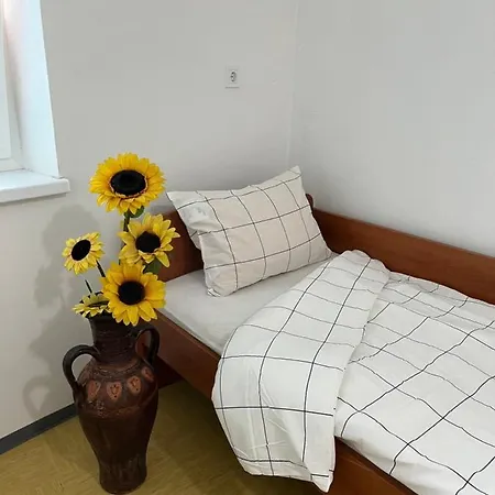 Apartman Apartmaji Pod Lipo *