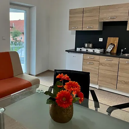 Apartmaji Pod Lipo Apartman *